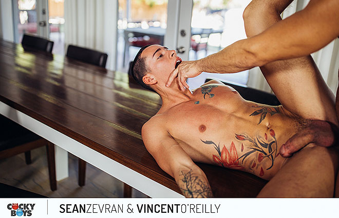 Sean Zevran & Vincent O'Reilly Image