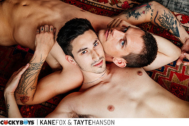 Kane & Tayte Image