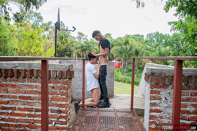 Bully Captures Twink Hole Image