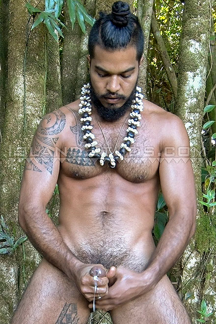 Hairy Hung Hawaiian Kamani Image